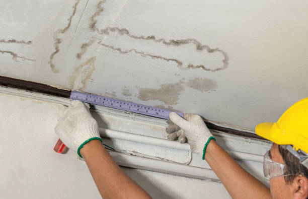 Reliable Burst Pipe Cleanup contractor in Agawam, MA by Water Damage Irwin